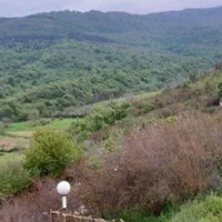 بهشت چهار فصل|اجارهٔ خانه و ویلا|گلوگاه, |دیوار