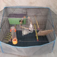 قفس پرنده با کلیه متعلقات و امکانات