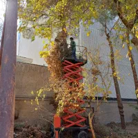 باغبانی وهرس کاری وغیره|خدمات باغبانی و درختکاری|اصفهان, ارغوانیه|دیوار