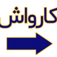 کار حرفه‌ای کارواش