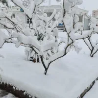 خانه-باغ-فروشی