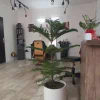 اجاره صندلی به ارایشگر در محدوده بازار