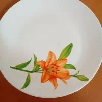 سرویس ۵۲ پارچ سرامیک|ظروف سرو و پذیرایی|شیراز, فرگاز|دیوار