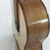 گیتار فلامنکو|گیتار، بیس، امپلیفایر|مشهد, انقلاب|دیوار