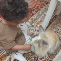 خرگوش ناز