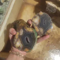 انواع سنگ طبیعی شجر