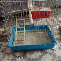 قفس بزرگ باوسایل کامل