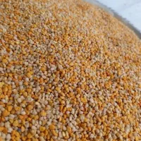 ژل رویال گرده شان موم طبیعی اصل|خوردنی و آشامیدنی|سبزوار, عظیمیان|دیوار