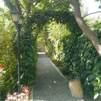 باغبان ونگهبان کل