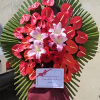کد55 تبریک تاج گل جشنی ختم دسته افتتاحیه|گل و گیاه طبیعی|تهران, نمایشگاه بین المللی|دیوار