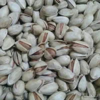 پسته سفید بادامی