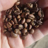 قهوه ویتنام درجه یک|کافی‌شاپ و رستوران|آستانه اشرفیه, |دیوار