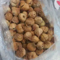 محصولات گلپایگان کاملا ارگانیک و آفتابی