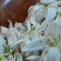 خوردنی و آشامیدنی