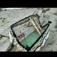 قفس پرنده بزرگ