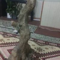 میزتلفن|میز تلفن|مشهد, بهاران|دیوار