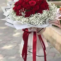 گل کاری حامد|گل و گیاه طبیعی|تاکستان, |دیوار