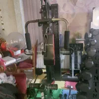 دستگاه بدنسازی چندکاره پرایری ولف T 1480 D|تجهیزات ورزشی|تهران, تهران‌نو|دیوار