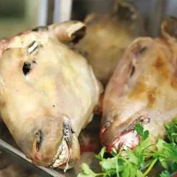 کله پاچه و سیرابی بره نرینه