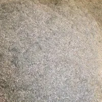 کاه گندم‌ولوبیا