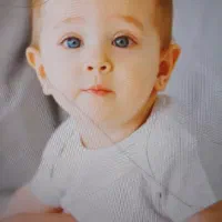 درخواست رحم اجاره ای