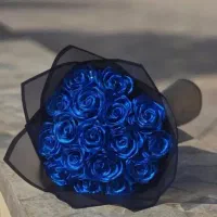 گل کاغذ|کلکسیون و سرگرمی|یزد, |دیوار