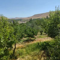 فروش باغ ویلایی دراسکو|فروش زمین و ملک کلنگی|اسکو, |دیوار