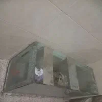 آکواریوم
