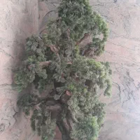 درخت کاج مصنوی|گل مصنوعی|تهران, زعفرانیه|دیوار