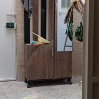 جاکفشی ایستاده