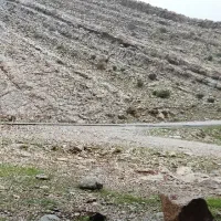 زمین-تعاونی-شهرداری