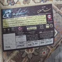 فرش ۶ متری|فرش|قزوین, |دیوار