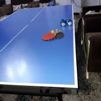 میز پینگ پنگ