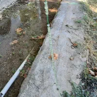 تسبیح