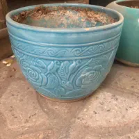 گلدان سفالی|گل و گیاه طبیعی|شیراز, سینما سعدی|دیوار