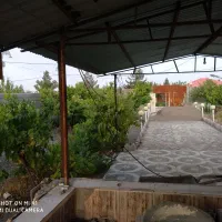 فروش قطعه باغ ۸۰۰ متری مناسب سرمایه گذاری|فروش خانه و ویلا|گلمکان, |دیوار