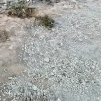 مشارکت در ساخت