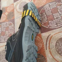 کفش کار|کیف، کفش، کمربند|میناب, |دیوار