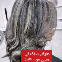 لایت قیمت مناسب تضمینی بامتخصص باسابقه|خدمات آرایشگری و زیبایی|تهران, تهرانپارس غربی|دیوار