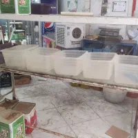 ویترین شیشه ای ترشی فروشی