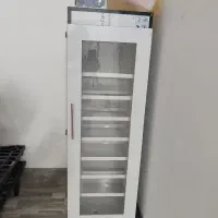 دستگاه جوجه کشی
