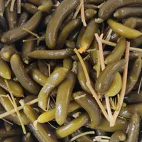 خیارشور شیروان ب شرط مرجوعی|خوردنی و آشامیدنی|مشهد, توس (بلوار توس)|دیوار