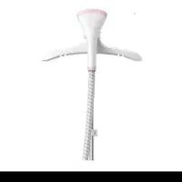 اتوبخار ایستاده