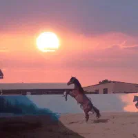 اسب وارداتی kwpn هولشتاین درساژ پرش کورس|اسب و تجهیزات اسب‌سواری|تهران, حصار بوعلی|دیوار