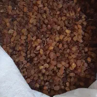 کشمش روستادرجه1 وشیره انگور ورب دبه ای|خوردنی و آشامیدنی|پاکدشت, حصار امیر|دیوار