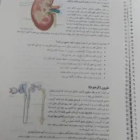 جزوه زیست عظیمی ۴۰۴|لوازم التحریر|نهاوند, |دیوار