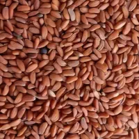 بذر شاهی ، تشایی|گل و گیاه طبیعی|فلاورجان, |دیوار
