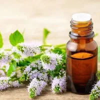 فروش درامدزایی