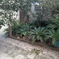 رهن-و-اجاره-خانه-ویلایی