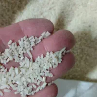 برنج درجه ی یک هاشمی وبرنج نیم دونه ی هاشمی|خوردنی و آشامیدنی|فردیس, قریشی|دیوار